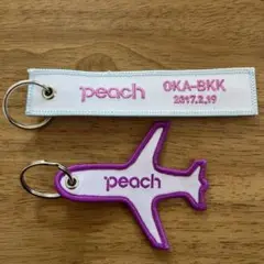 Item thumbnail for item 501de3f5-9ff7-46fb-b357-044161cae64e