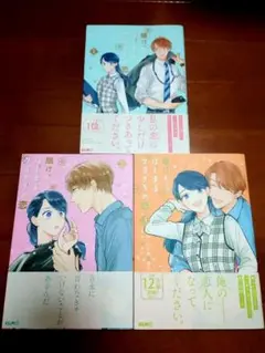 【匿名配送】 女性漫画 賭けからはじまるサヨナラの恋 わたぬきめん ポルン
