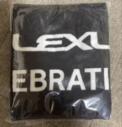 Item thumbnail for item 135903a3-d738-4f9d-8319-13168872fd77