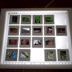 Item thumbnail for item 0271a747-d5fc-4287-b6fb-e2f9c51f7c21