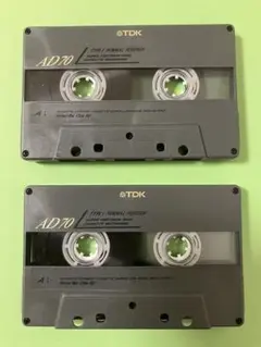 Item thumbnail for item a8ae1a73-89fb-4591-bbc0-45f4b4af9ec6