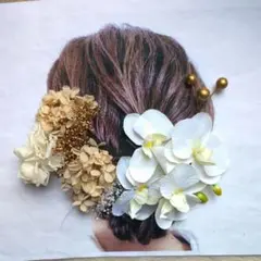 Item thumbnail for item a4d91649-7a60-4ff7-b8ac-f6482eef6bc0