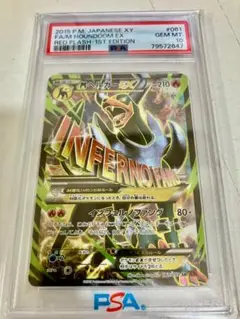 ヘルガーEX PSA10 2025年最新】ヘルガーEX psa10の人気アイテム - メルカリ