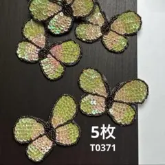 Item thumbnail for item 9b762b3f-67fc-480e-bb68-2faf6206dad2