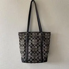 Item thumbnail for item 4b84da0d-3e2e-441b-bc15-8803e66d838e