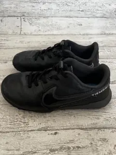 Nike ジュニアティエンポ　レジェンド9 アカデミーTF 19.5cm