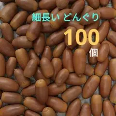 #H62 どんぐりの実(細長い)　コナラの実　100個