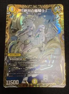 絶対の楯騎士　アブソリュートシールドナイト　金