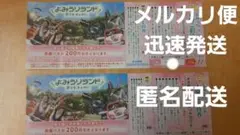 よみうりランド入園ご招待券 二枚
