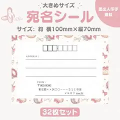 宛名シール ガーリー② 大きめサイズ 32枚セット