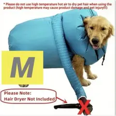 Item thumbnail for item 759696c7-8b00-4736-9fbc-4f2a0965e632