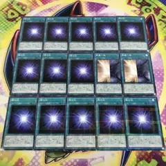 16264 陰の光 表裏一体 計15枚 ノーパラ ノーマル
