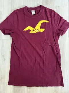 ホリスター　Tシャツ