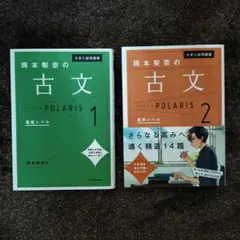 岡本梨奈の古文ポラリス 1 ・２セット