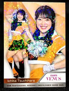 Item thumbnail for item e1d559b5-3323-4030-a81d-e966f06ea477