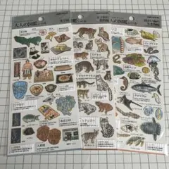 Item thumbnail for item 8ba73557-f8bf-412a-8c17-2e3d1c953f5e