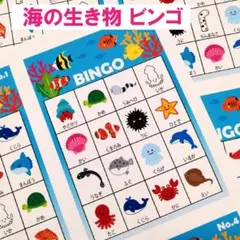 海の生き物 ビンゴゲーム パーティー #JP52