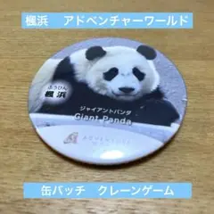 【楓浜】ジャイアントパンダ缶バッジ ADVENTURE WORLDクレーンゲーム