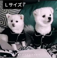 Item thumbnail for item f4a76d5d-6923-45ea-8321-12484d8ccb2e