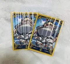 FGO カード バーゲスト