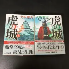 虎の城 上下巻