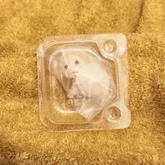 Item thumbnail for item 098c829d-4b93-4d03-8a1c-5c025f3d60bc