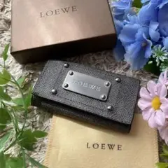 ✨新品未使用箱付き✨LOEWE ロエベ アナグラム柄 キーケース