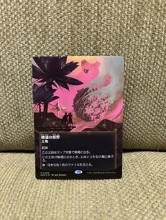 MTG 久遠の終端 睡蓮の原野 ボーダーレス foil