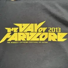 THE DAY OF HARDCORE 2013 Tシャツ【Ｌ】