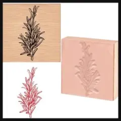 木製ゴム印 植物 木製ゴムスタンプ ローズマリー葉 スタンプ アンティーク