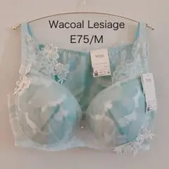 Item thumbnail for item d411ae68-bb7a-4d91-be10-3600f5f0afb4