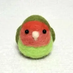 コザクラインコ　ノーマル