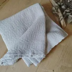 【本日限定お値下げ♪】ダブルガーゼ ＊コットン刺繍レース生地 ＊ スカラップ