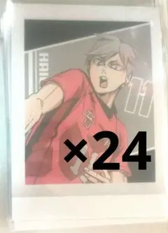 ハイキュー 灰羽リエーフ ぱしゃこれ 24枚