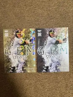 Item thumbnail for item 2d3cd4a4-b898-4581-af52-481a4568fc98