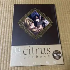 citrus artbook シトラスアートブック 新品未開封シュリンク付 citrus アートブック - メルカリ
