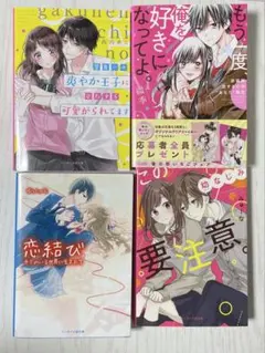 野いちご文庫4冊セット ピンクレーベル　ブルーレーベル　雨乃めこ　みゅーな**