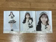 山野愛月 生写真 コンプ