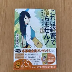 これは経費で落ちません！ 12