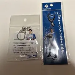 細川凌平　北海道日本ハムファイターズ　アクリルスタンド　ハローキティ　コラボ