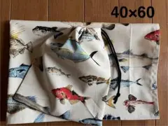 さかな図鑑★給食セット★巾着＆ランチョンマット40×60★新学期