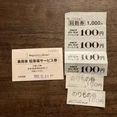 ナガシマリゾート ナガシマスパーランド 乗用車 駐車場サービス券 無料 駐車場券