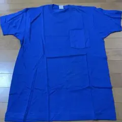 デッドストック フルーツオブザルーム ポケT