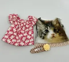 Item thumbnail for item d2bad5a9-c7ad-4fb3-ad2c-075339b65863