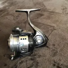 訳有り レボネオス ディーズ