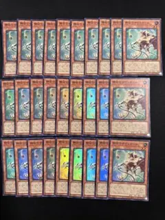 遊戯王 静寂のサイコガール　スーパー28枚
