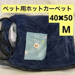 Item thumbnail for item 60ad531e-80c3-411f-b077-6e102bd016c5