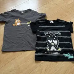 PontaパスTシャツ Lサイズ きゅーすと 2025年最新】ponta tシャツの人気アイテム - メルカリ