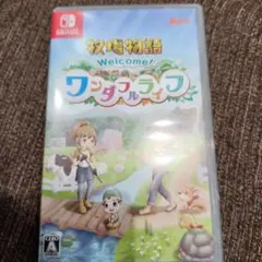 Welcome! ワンダフルライフ Nintendo Switch