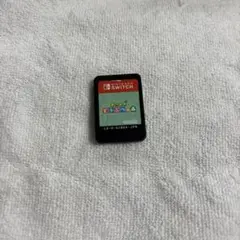 あつまれどうぶつの森 ソフトのみ